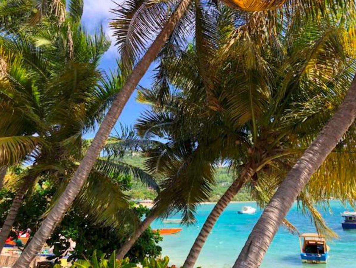 Bequia Beachfront Villa Hotel Friendship Extérieur photo
