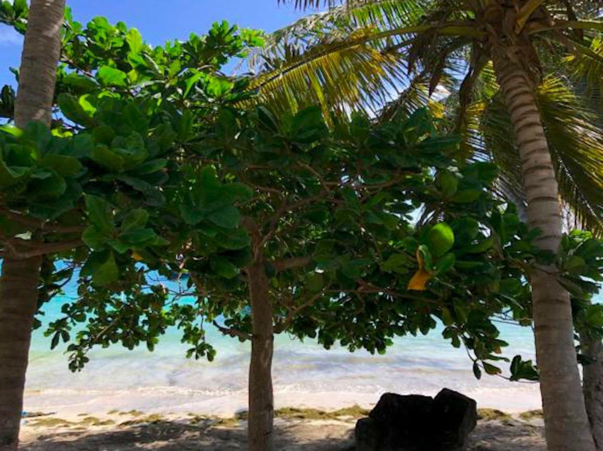 Bequia Beachfront Villa Hotel Friendship Extérieur photo