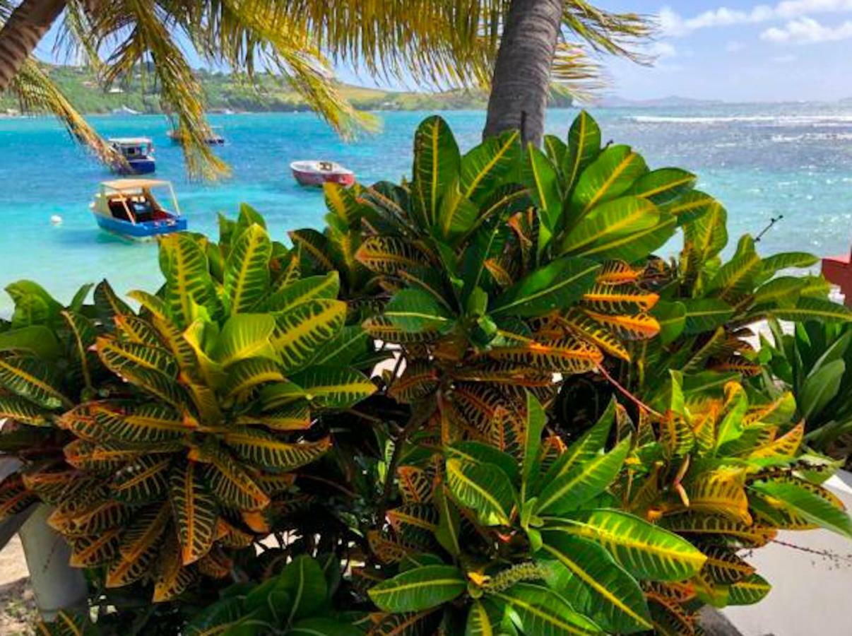 Bequia Beachfront Villa Hotel Friendship Extérieur photo